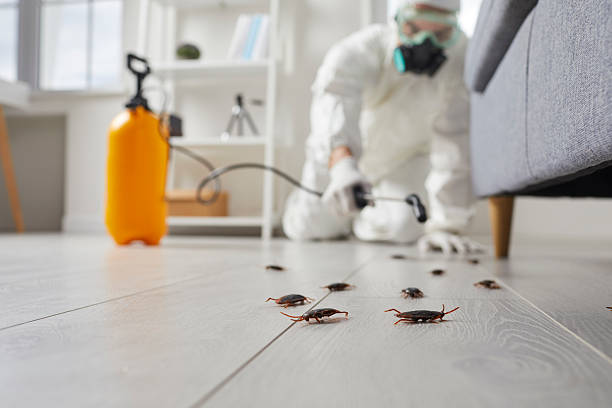 Trusted Emergency Pest Control service in North Eagle Butte, SD - Nex Pest Control