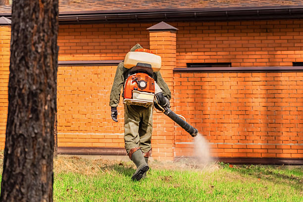 Trusted Ant Control service in North Eagle Butte, SD - Nex Pest Control